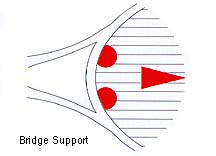 Bridge Support